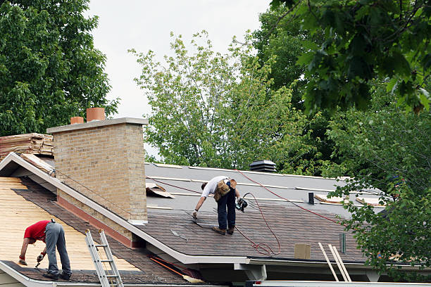 Quick and Trustworthy Emergency Roof Repair Services in Zephyrhills, FL