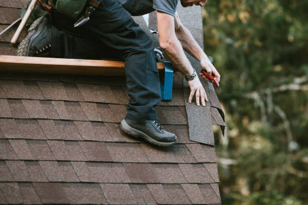 Best Local Roofing Companies  in Zephyrhills, FL